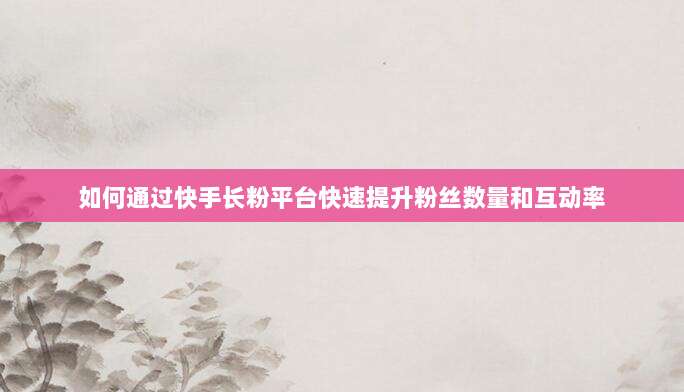 如何通过快手长粉平台快速提升粉丝数量和互动率