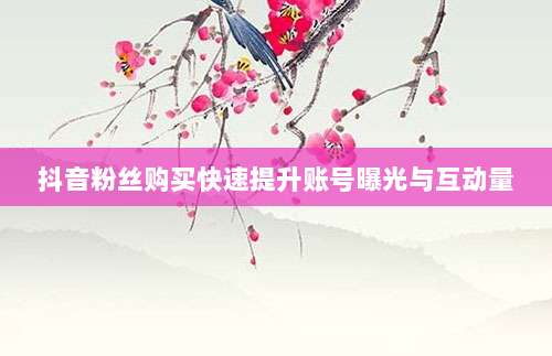 抖音粉丝购买快速提升账号曝光与互动量