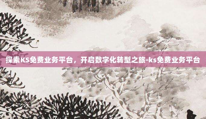 探索KS免费业务平台，开启数字化转型之旅-ks免费业务平台