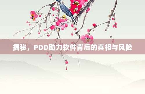 揭秘，PDD助力软件背后的真相与风险