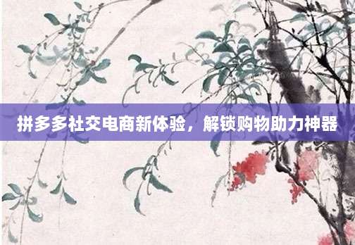 拼多多社交电商新体验，解锁购物助力神器