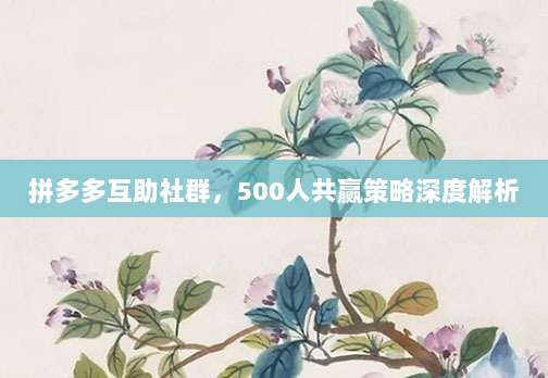 拼多多互助社群，500人共赢策略深度解析