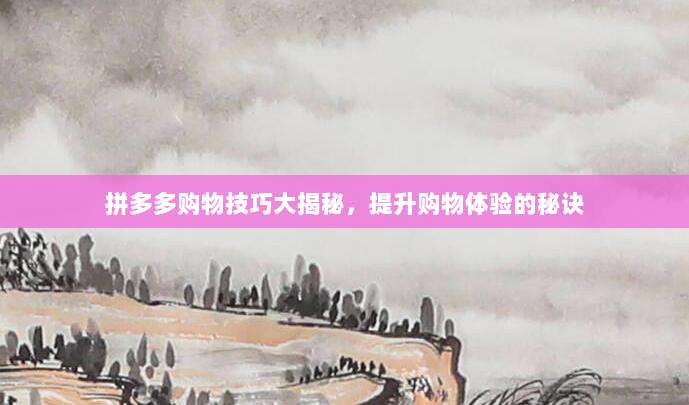 拼多多购物技巧大揭秘,提升购物体验的秘诀