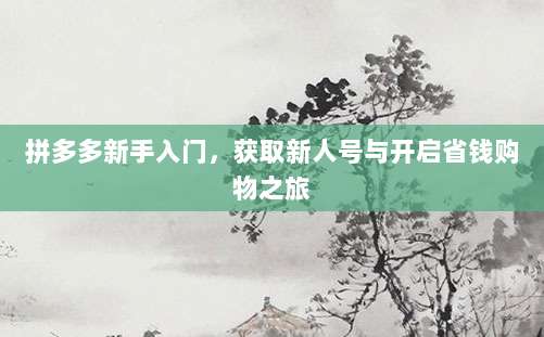 拼多多新手入门，获取新人号与开启省钱购物之旅