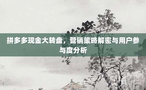 拼多多现金大转盘，营销策略解密与用户参与度分析