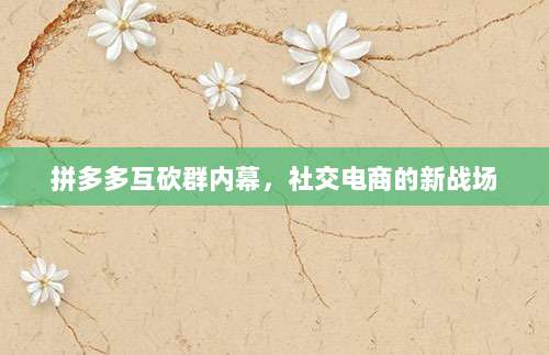 拼多多互砍群内幕,社交电商的新战场