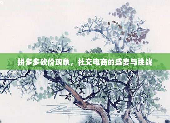 拼多多砍价现象，社交电商的盛宴与挑战