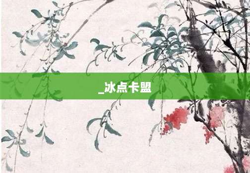 _冰点卡盟