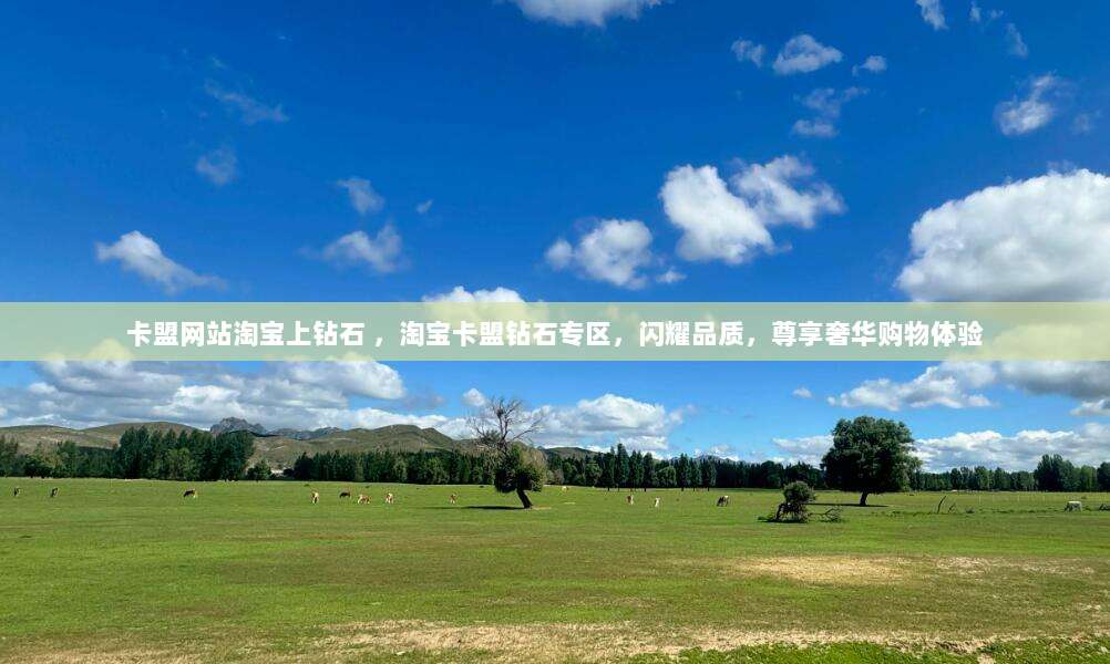 卡盟网站淘宝上钻石 ，淘宝卡盟钻石专区，闪耀品质，尊享奢华购物体验
