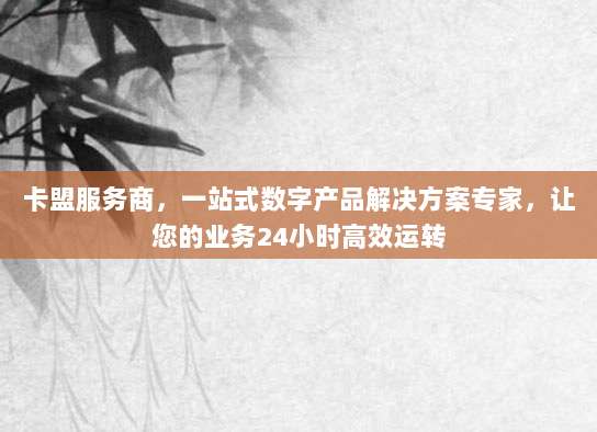 卡盟服务商，一站式数字产品解决方案专家，让您的业务24小时高效运转
