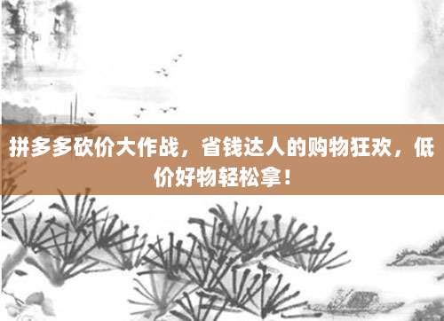 拼多多砍价大作战，省钱达人的购物狂欢，低价好物轻松拿！