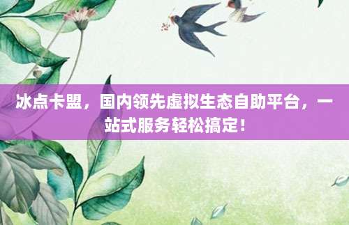 冰点卡盟，国内领先虚拟生态自助平台，一站式服务轻松搞定！