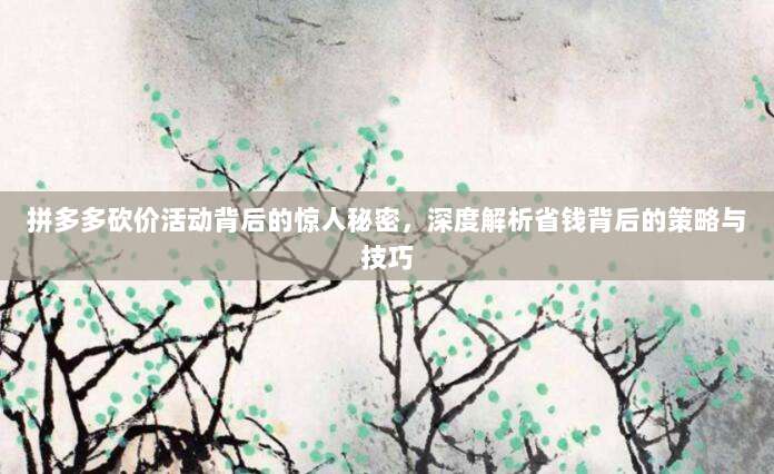 拼多多砍价活动背后的惊人秘密，深度解析省钱背后的策略与技巧