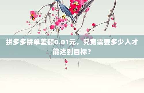 拼多多拼单差额0.01元,究竟需要多少人才能达到目标?