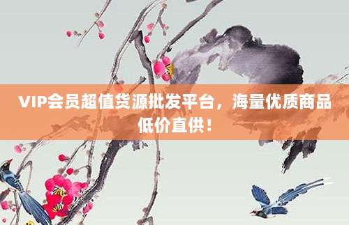 VIP会员超值货源批发平台，海量优质商品低价直供！