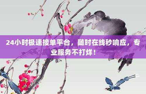 24小时极速接单平台，随时在线秒响应，专业服务不打烊！