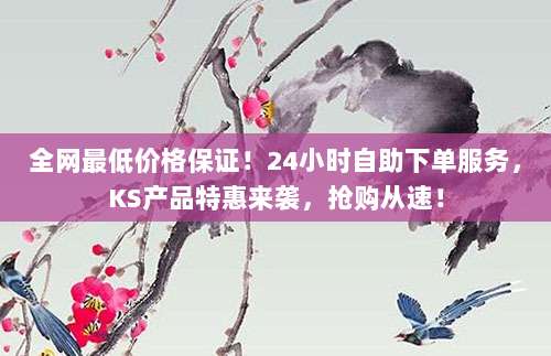 全网最低价格保证!24小时自助下单服务,KS产品特惠来袭,抢购从速!