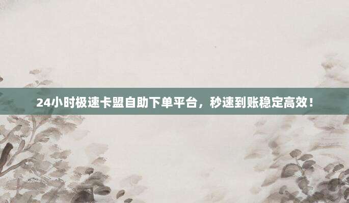 24小时极速卡盟自助下单平台，秒速到账稳定高效！