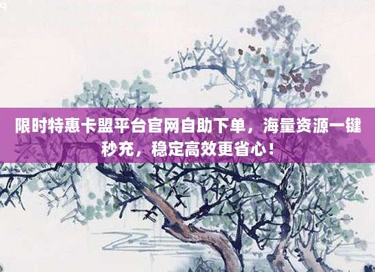 限时特惠卡盟平台官网自助下单，海量资源一键秒充，稳定高效更省心！