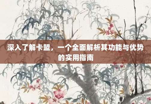 深入了解卡盟，一个全面解析其功能与优势的实用指南