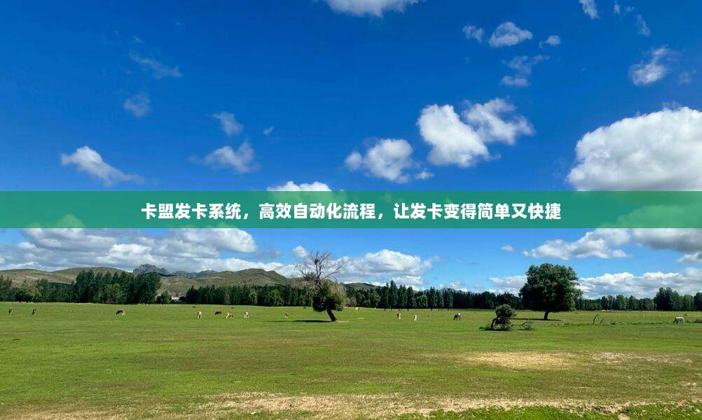 卡盟发卡系统，高效自动化流程，让发卡变得简单又快捷