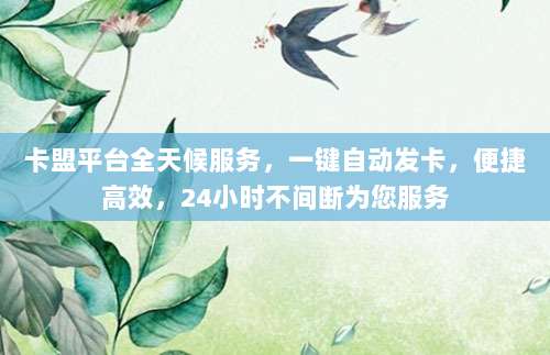 卡盟平台全天候服务，一键自动发卡，便捷高效，24小时不间断为您服务