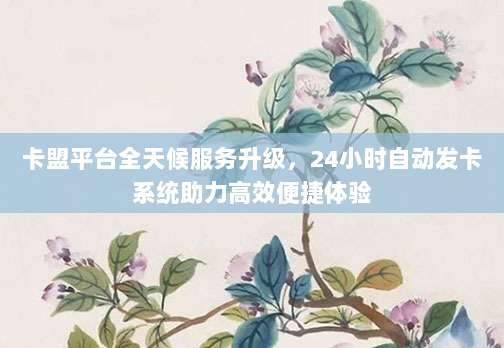 卡盟平台全天候服务升级，24小时自动发卡系统助力高效便捷体验