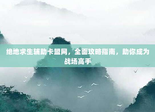 绝地求生辅助卡盟网，全面攻略指南，助你成为战场高手