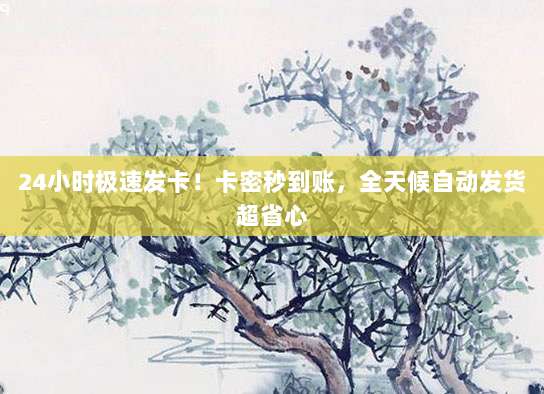 24小时极速发卡！卡密秒到账，全天候自动发货超省心