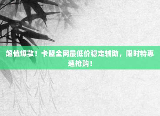 超值爆款！卡盟全网最低价稳定辅助，限时特惠速抢购！