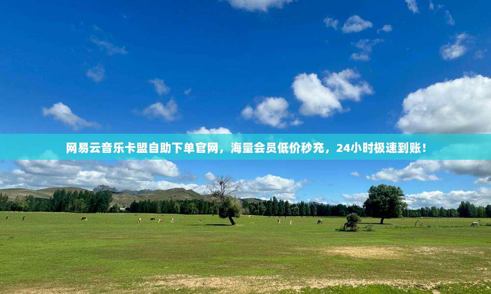 网易云音乐卡盟自助下单官网，海量会员低价秒充，24小时极速到账！