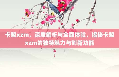卡盟xzm，深度解析与全面体验，揭秘卡盟xzm的独特魅力与创新功能