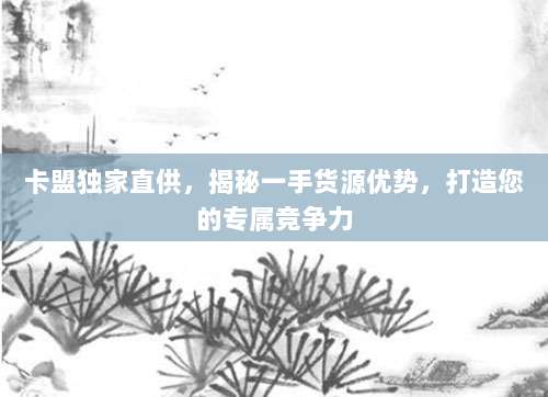 卡盟独家直供，揭秘一手货源优势，打造您的专属竞争力
