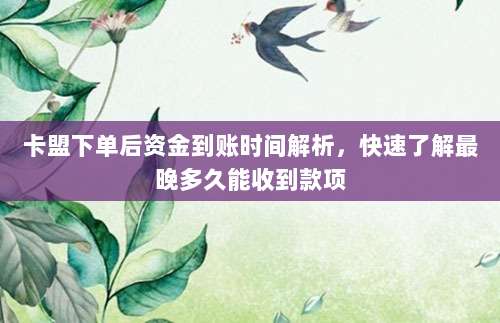 卡盟下单后资金到账时间解析，快速了解最晚多久能收到款项