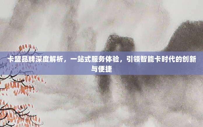 卡盟品牌深度解析，一站式服务体验，引领智能卡时代的创新与便捷