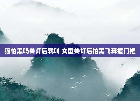 猫怕黑吗关灯后就叫 女童关灯后怕黑飞奔撞门框