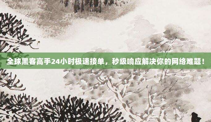 全球黑客高手24小时极速接单,秒级响应解决你的网络难题!