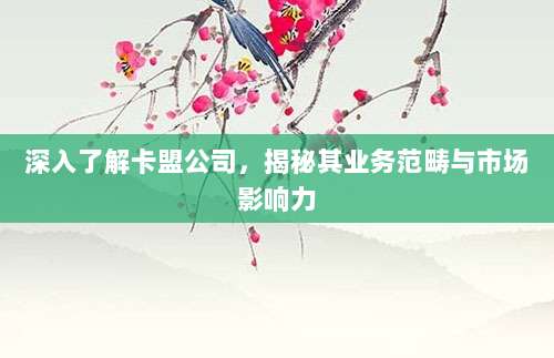 深入了解卡盟公司,揭秘其业务范畴与市场影响力