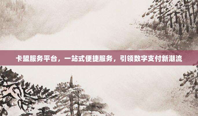 卡盟服务平台，一站式便捷服务，引领数字支付新潮流