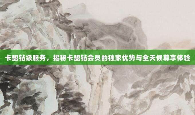 卡盟钻级服务,揭秘卡盟钻会员的独家优势与全天候尊享体验