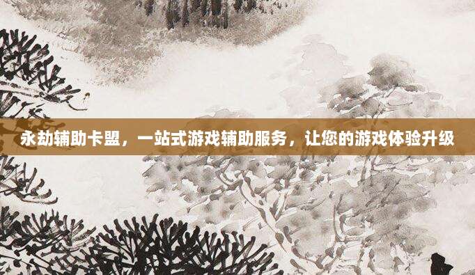 永劫辅助卡盟，一站式游戏辅助服务，让您的游戏体验升级