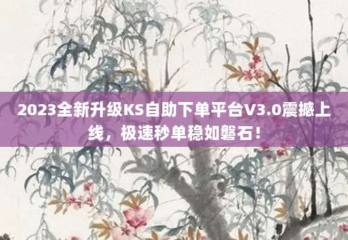 2023全新升级KS自助下单平台V3.0震撼上线，极速秒单稳如磐石！