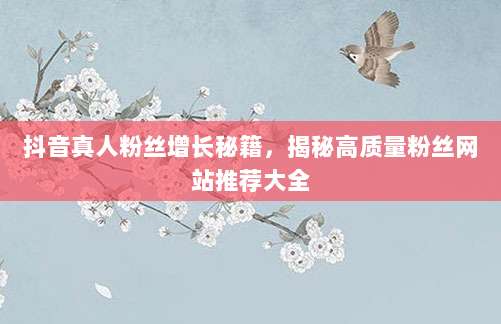 抖音真人粉丝增长秘籍，揭秘高质量粉丝网站推荐大全