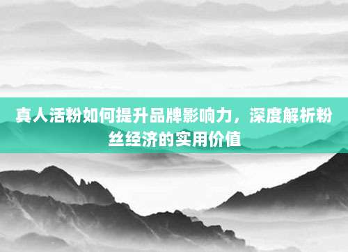 真人活粉如何提升品牌影响力，深度解析粉丝经济的实用价值