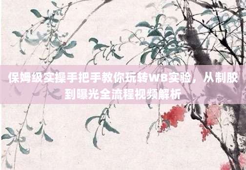 保姆级实操手把手教你玩转WB实验,从制胶到曝光全流程视频解析