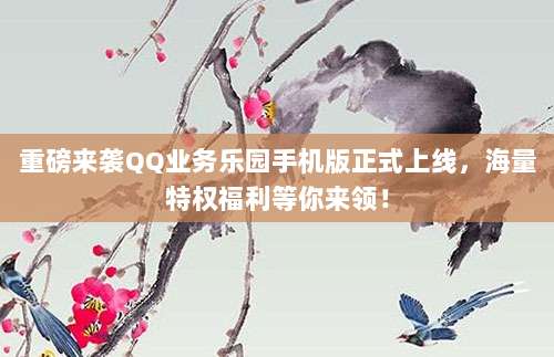 重磅来袭QQ业务乐园手机版正式上线，海量特权福利等你来领！