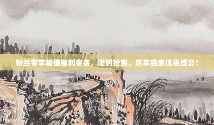 粉丝专享超值福利来袭，限时抢购，尽享独家优惠盛宴！