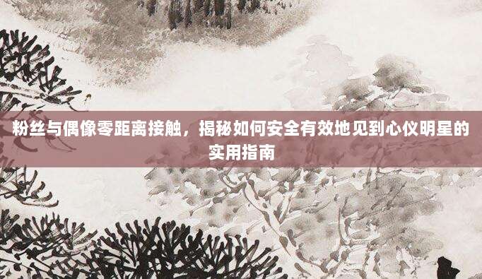 粉丝与偶像零距离接触，揭秘如何安全有效地见到心仪明星的实用指南