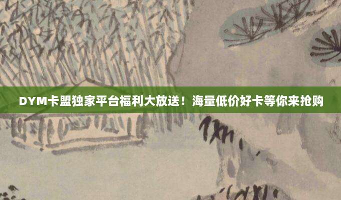 DYM卡盟独家平台福利大放送！海量低价好卡等你来抢购