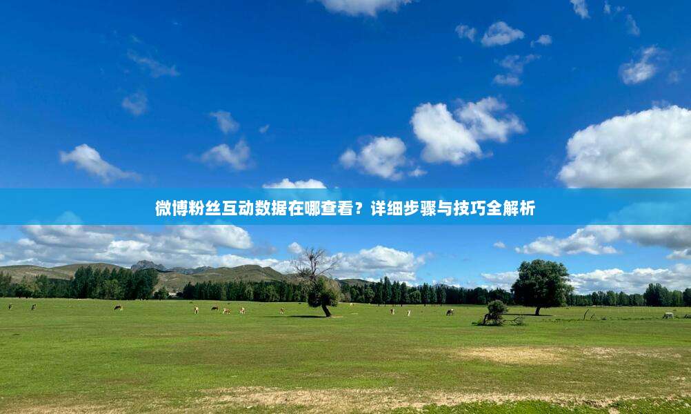 微博粉丝互动数据在哪查看？详细步骤与技巧全解析